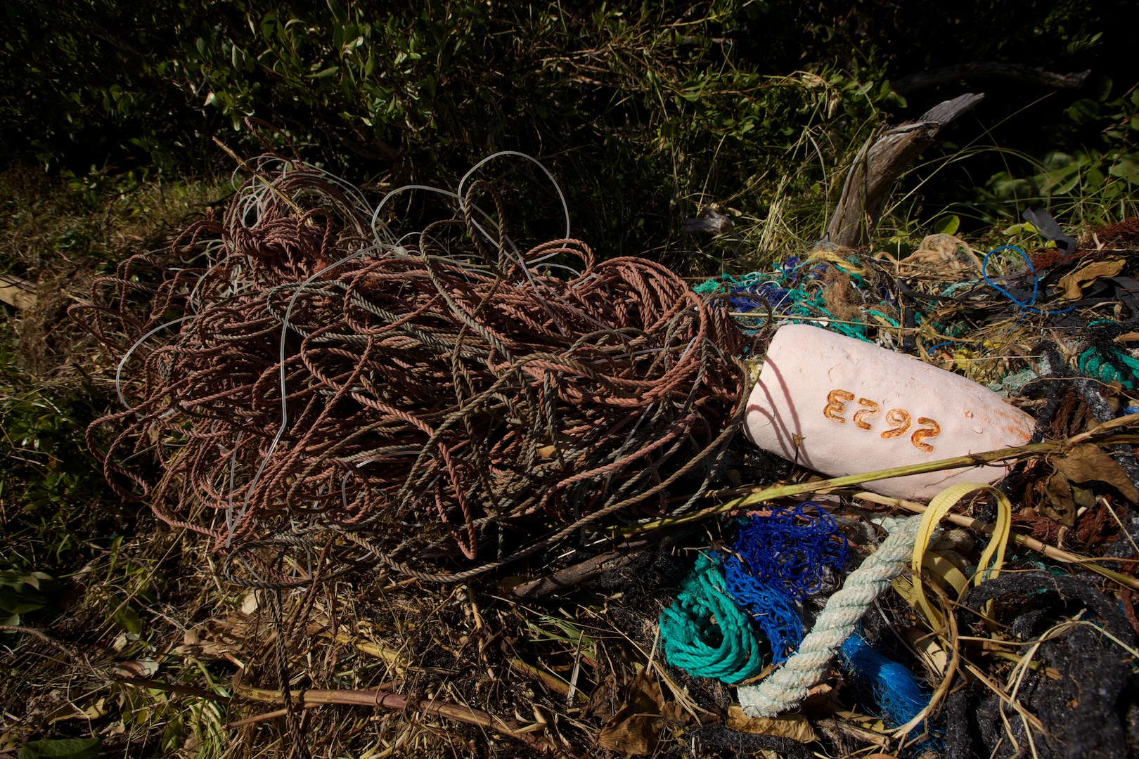  Longliner gear washed up on Nonsuch beach after hurricane Gonzalo 