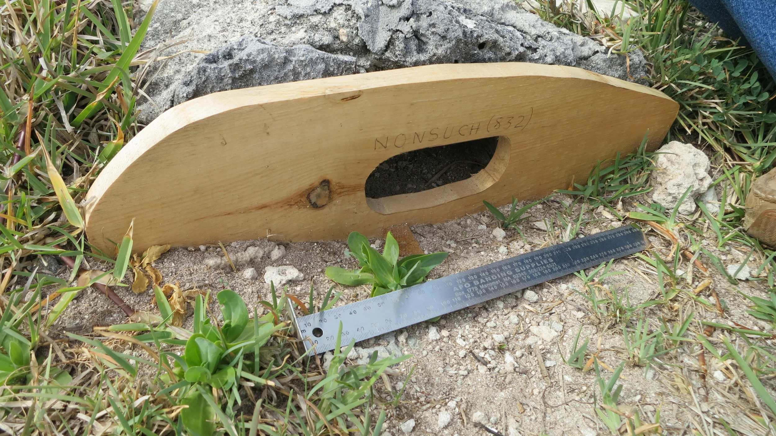 Wooden "Baffle" used to keep Longtails out of Cahow nests.