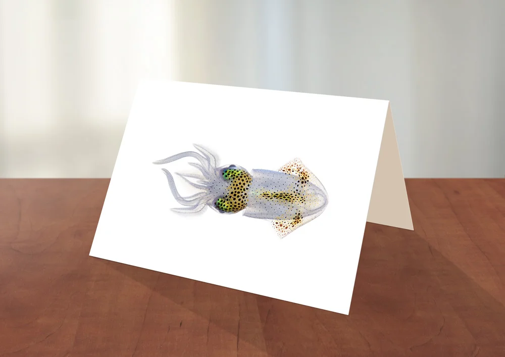 007-Squid-Greeting_card_Sample.jpg