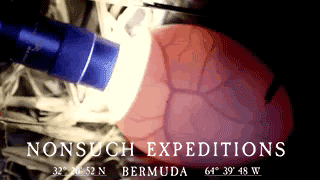 Candling2.gif