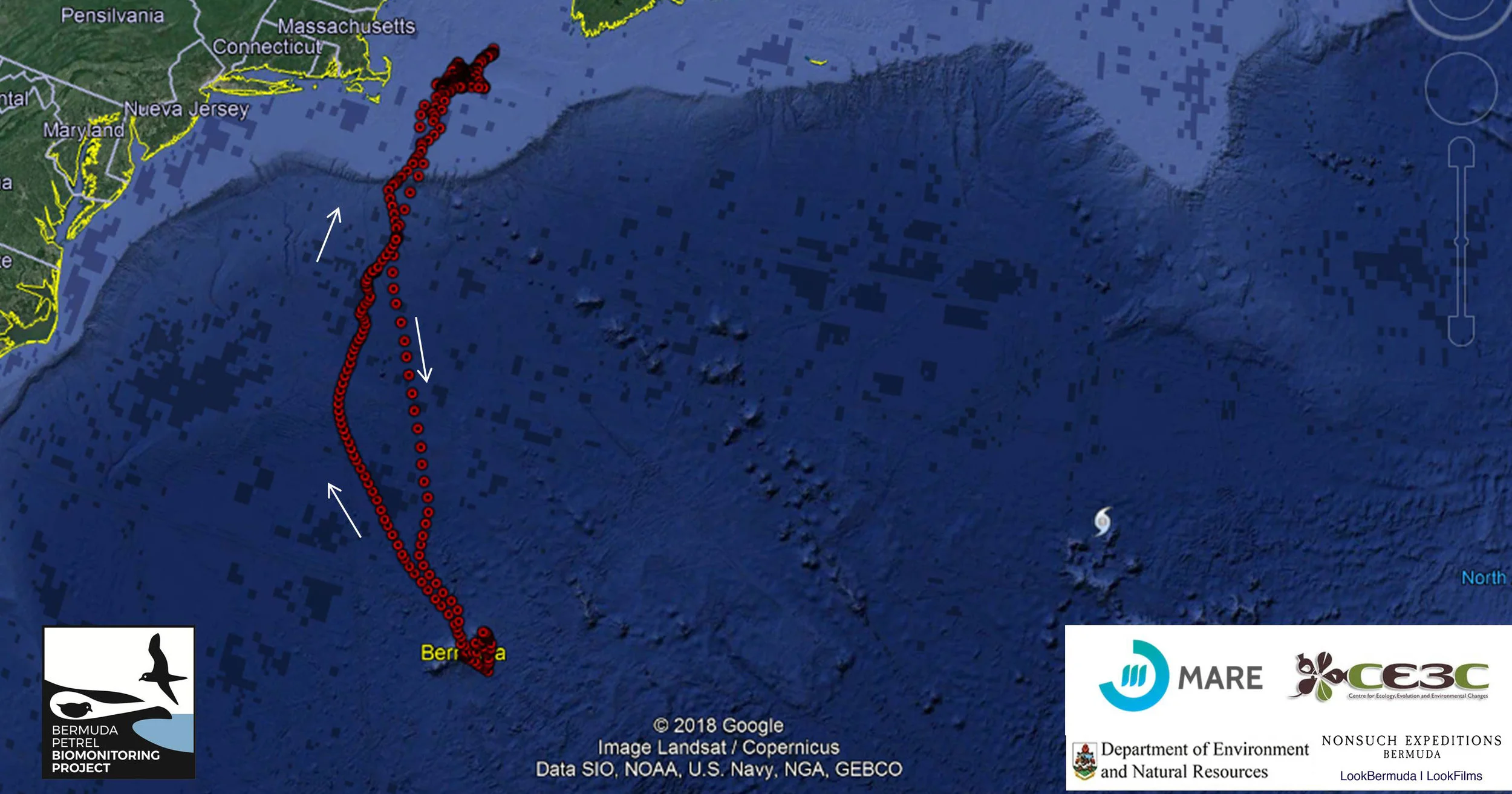 Cahow GPS Tracking Program Phase 1