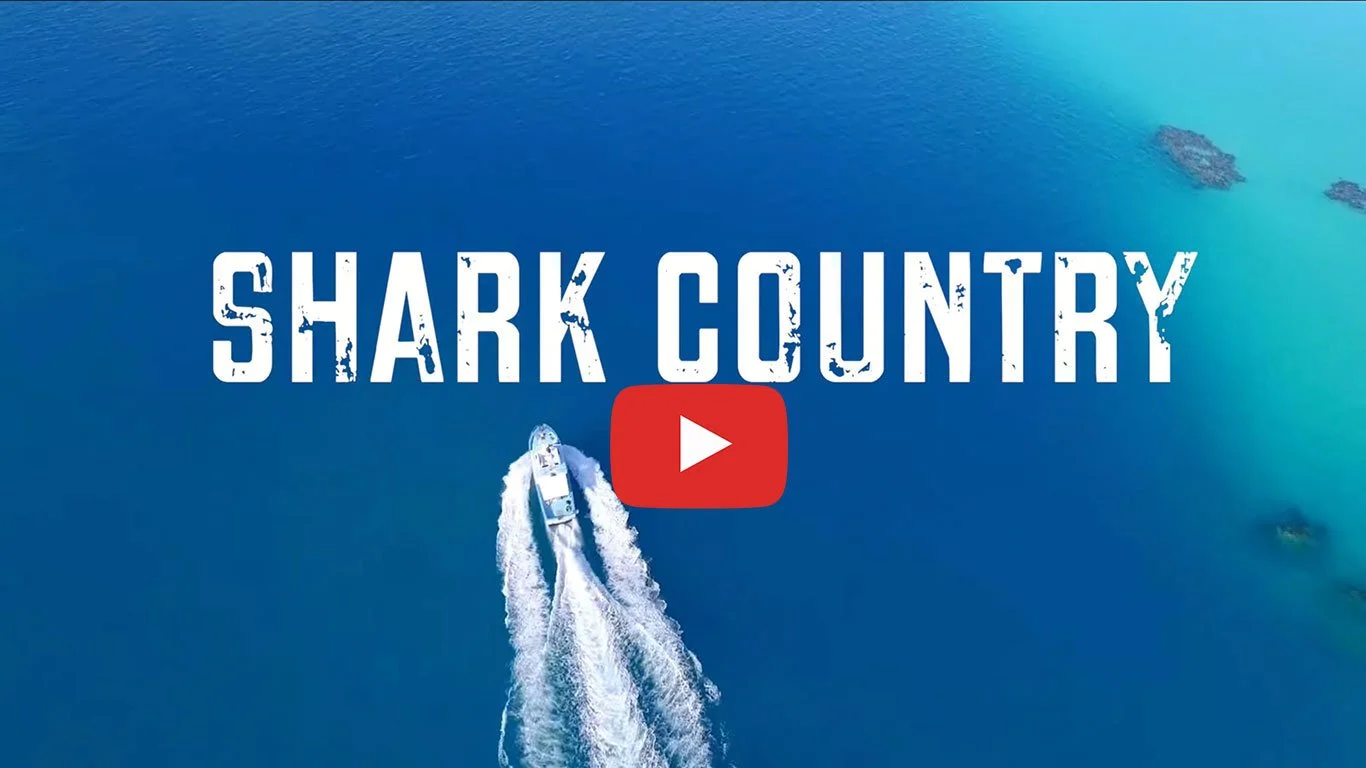Where have all our Sharks Gone? Watch “Shark Country”, featuring Teddy Tucker.
