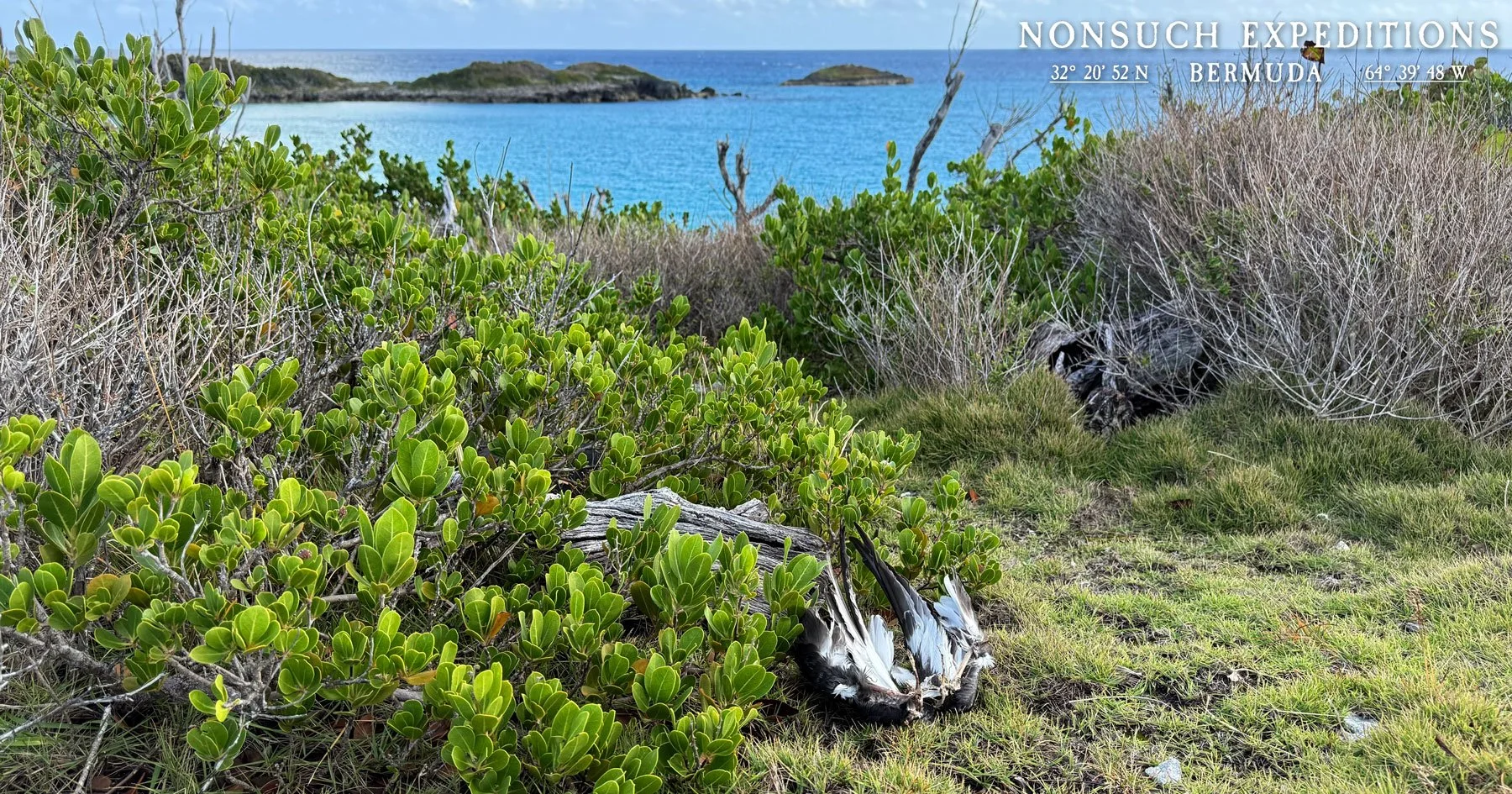 Photos by J-P Rouja for the Nonsuch Expeditions 