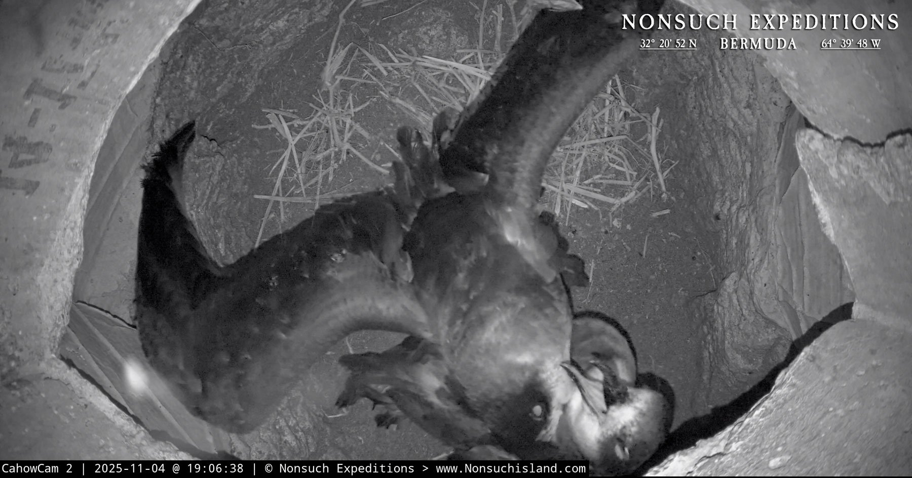 “Who’s the Daddy?” the Sequel - a Maury / Jerry Springer REMIX