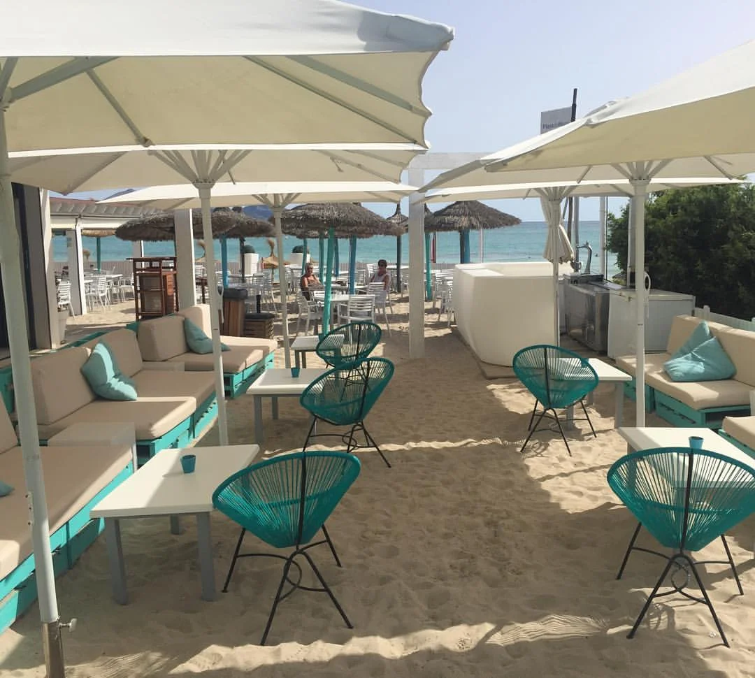 Can Gavella Talk Of The North