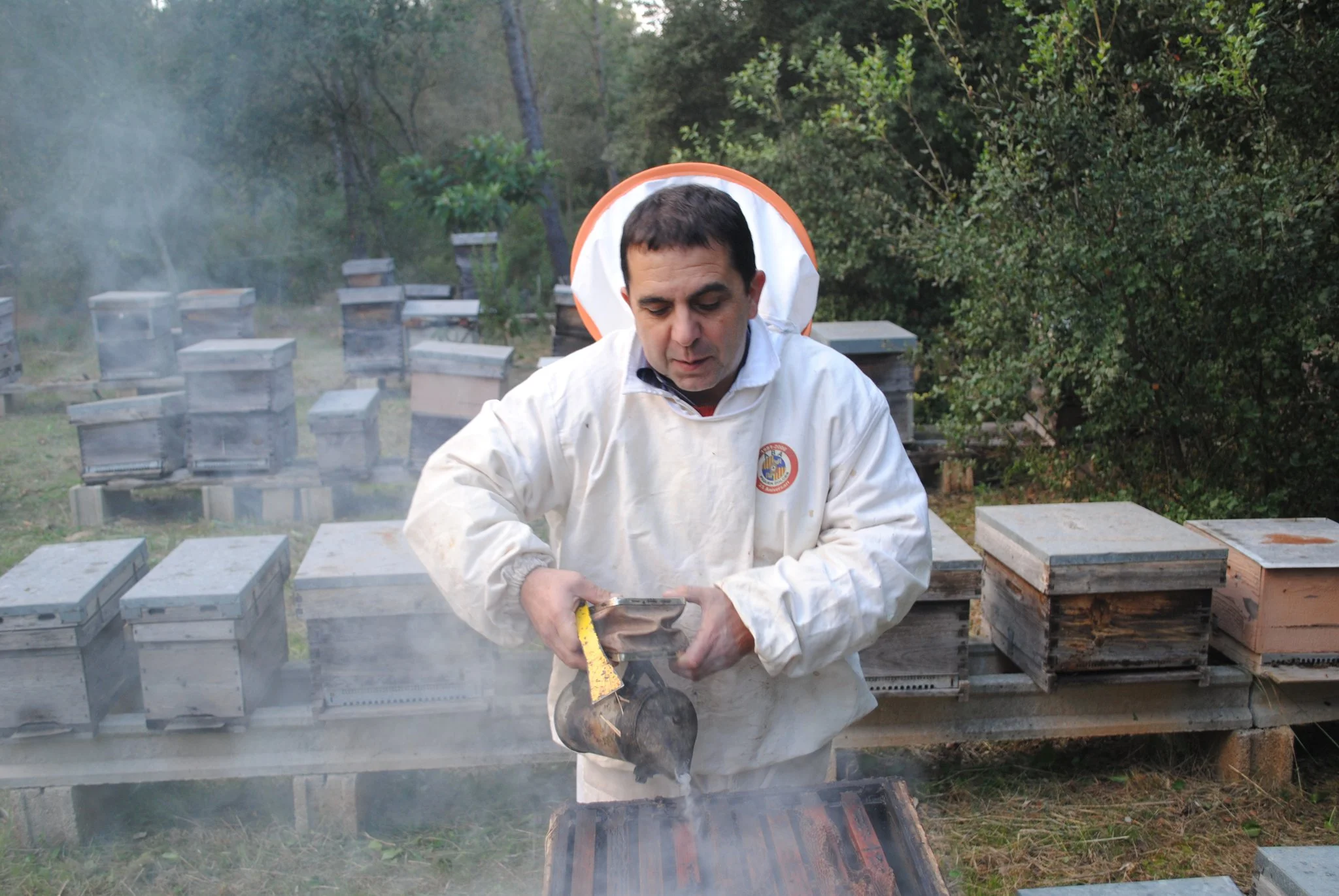 honey man 2.jpg