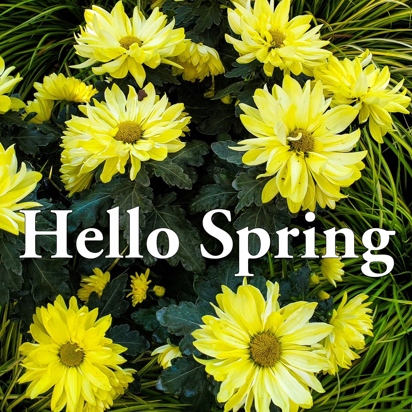 Hello Spring. It's time to get ready for warmer days ahead. Book a facial, massage, or hair service today at
https://balancehairspa.com/appointment-request

#beinperfectbalance #beautyatbalance #bemycanvas #dreamincolor &nbsp;#wellaprofessional
#faci