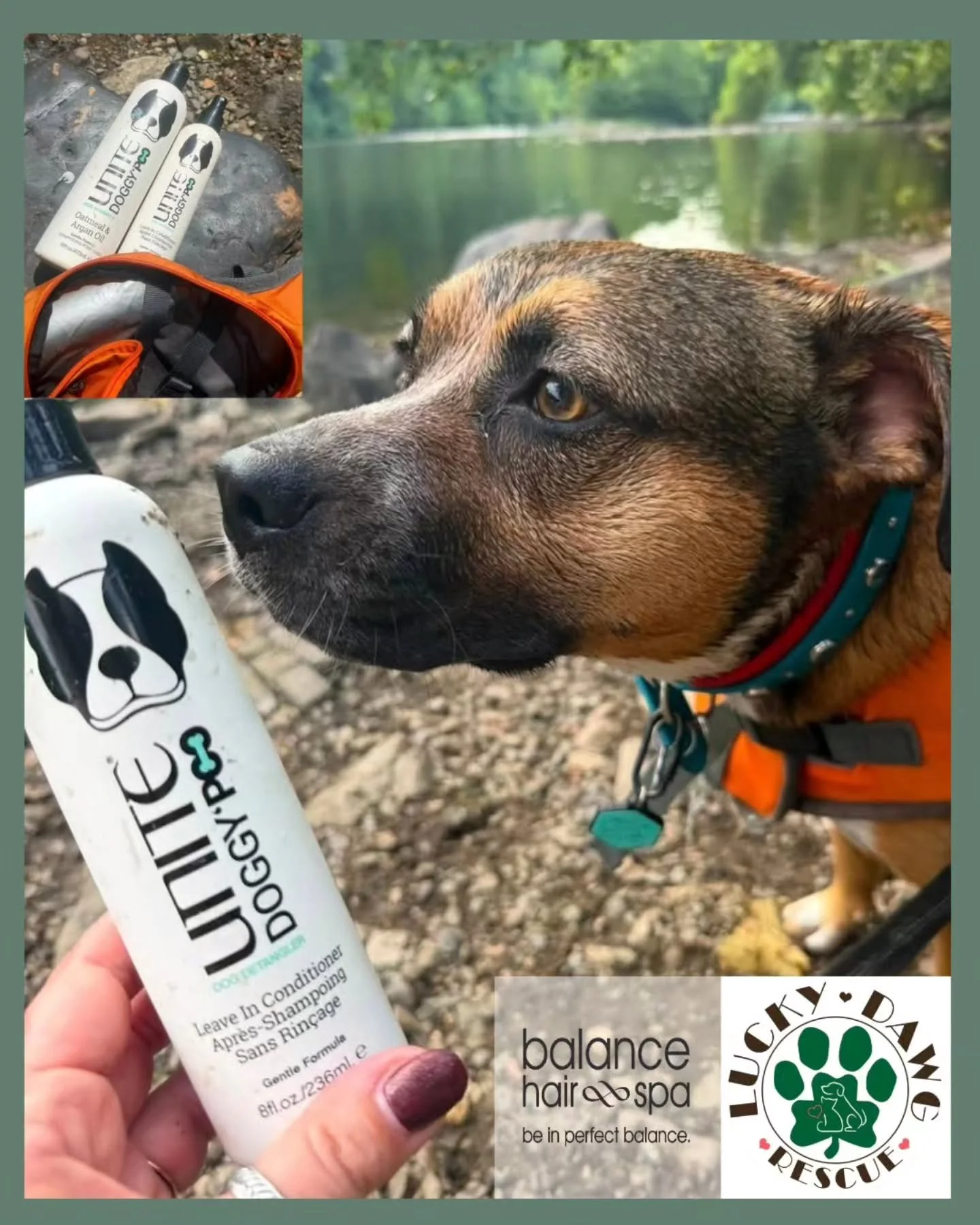 Dirty Dogs!? No way. We bring our Unite Doggy Poo from Balance Hair Spa on our summer water adventures so they get the Play and Spray! This easy-to-rinse doggy shampoo gets your puppy's coat clean and a doggy leave-in conditioner formulated to keep y