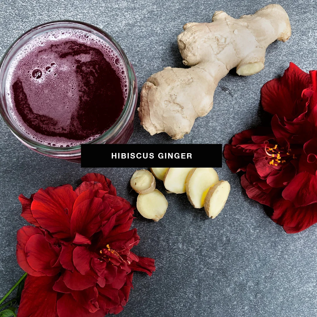 HIBISCUS GINGER.jpg