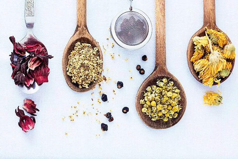 Kombucha History 101: Who Brought The ‘Booch?