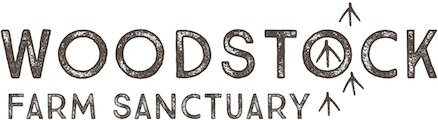 woodstock_logo.jpg