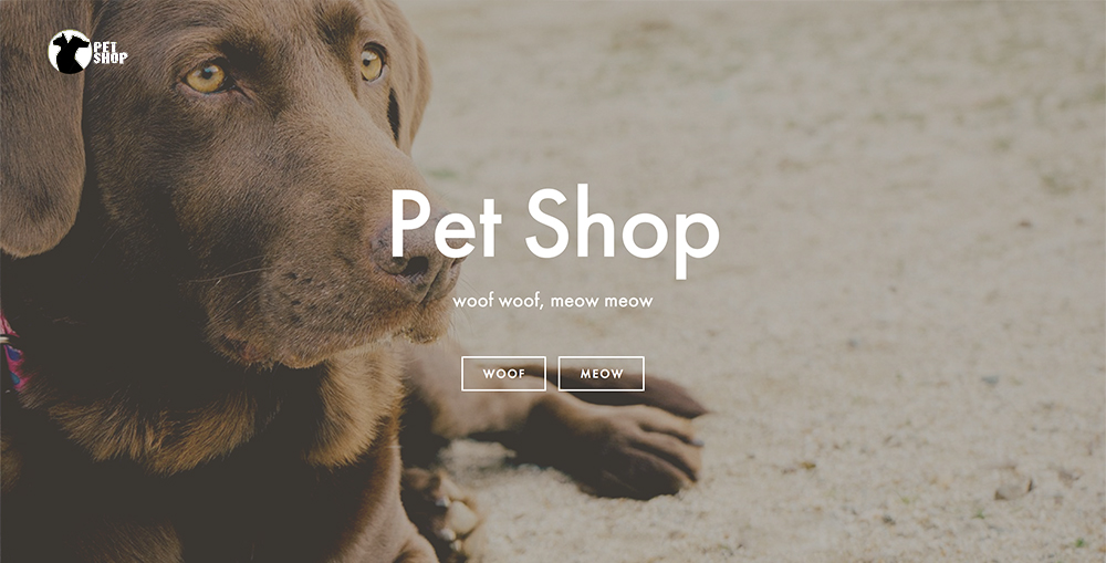 pet-shop.jpg