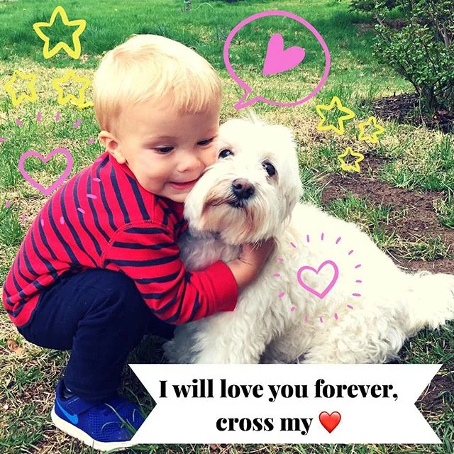 Sebi and Ralphie feeling the love. Ralphie feels this VERY tight hug about 500 times a day.😬😂🐾🐕😘💓