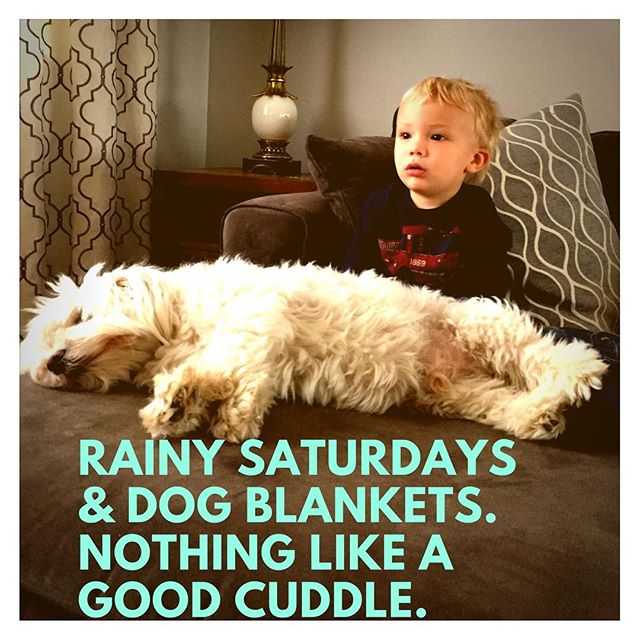 We wish you a long slow Saturday. Enjoy a good cuddle with your furry friends. ❤️🐶☺️