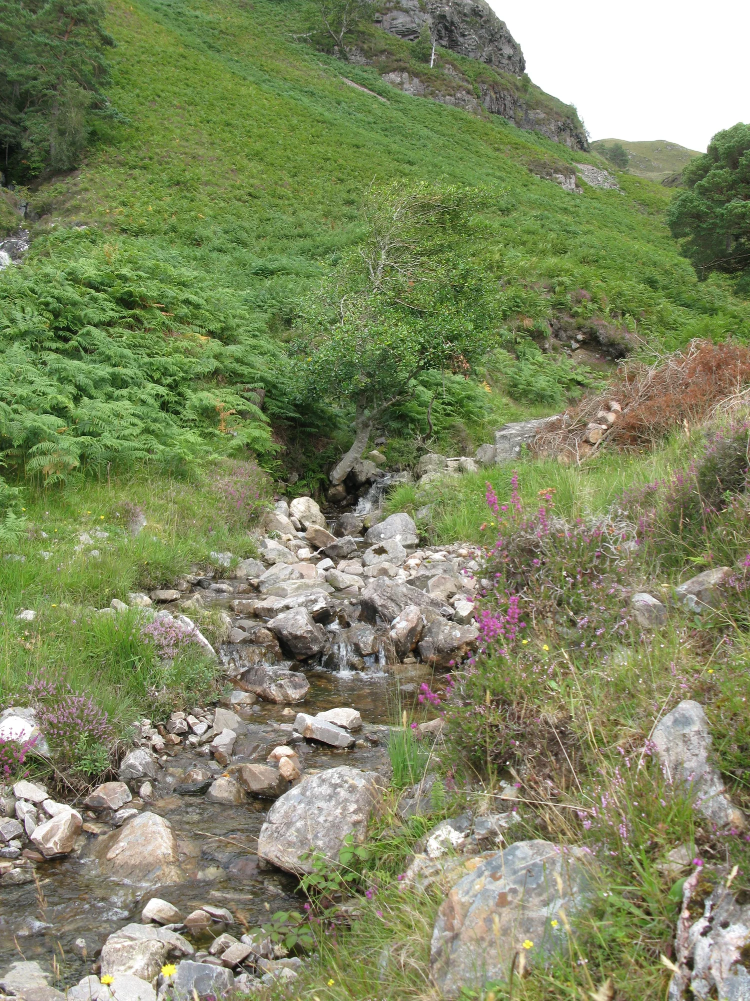 Attadale Holiday Cottages Wester Ross West Bothy Sleeps 6