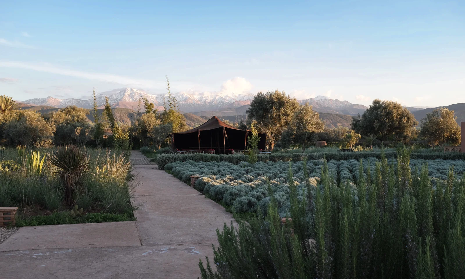 A traditional Berber tent where you can enjoy slow roast lamb (mechoui) from the outdoor clay oven.