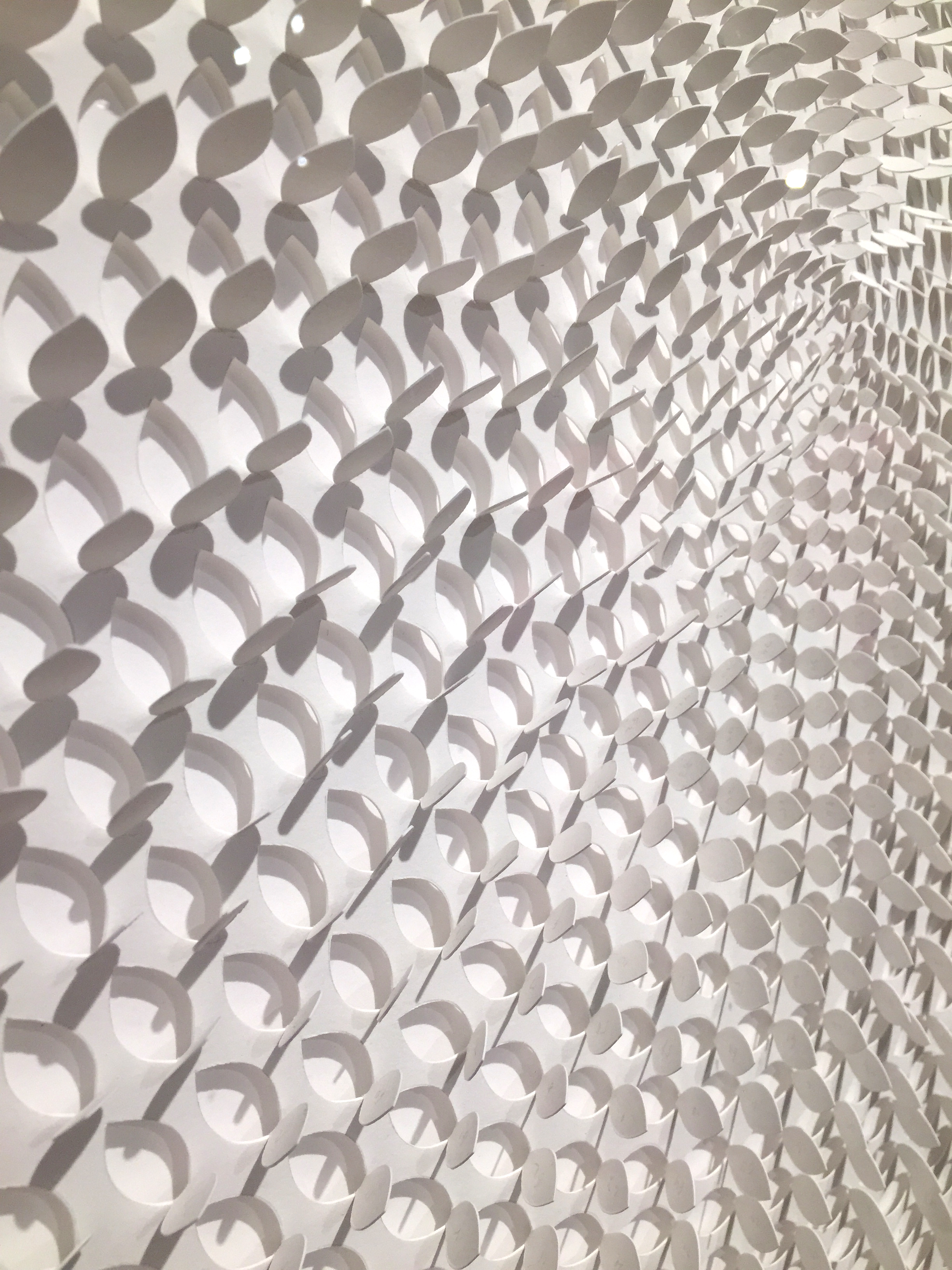 Detail of Jaq