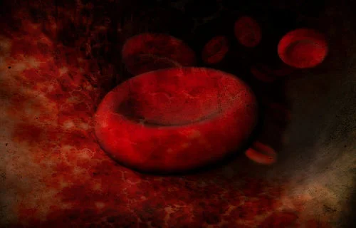 Wegener's Disease and the Immune System