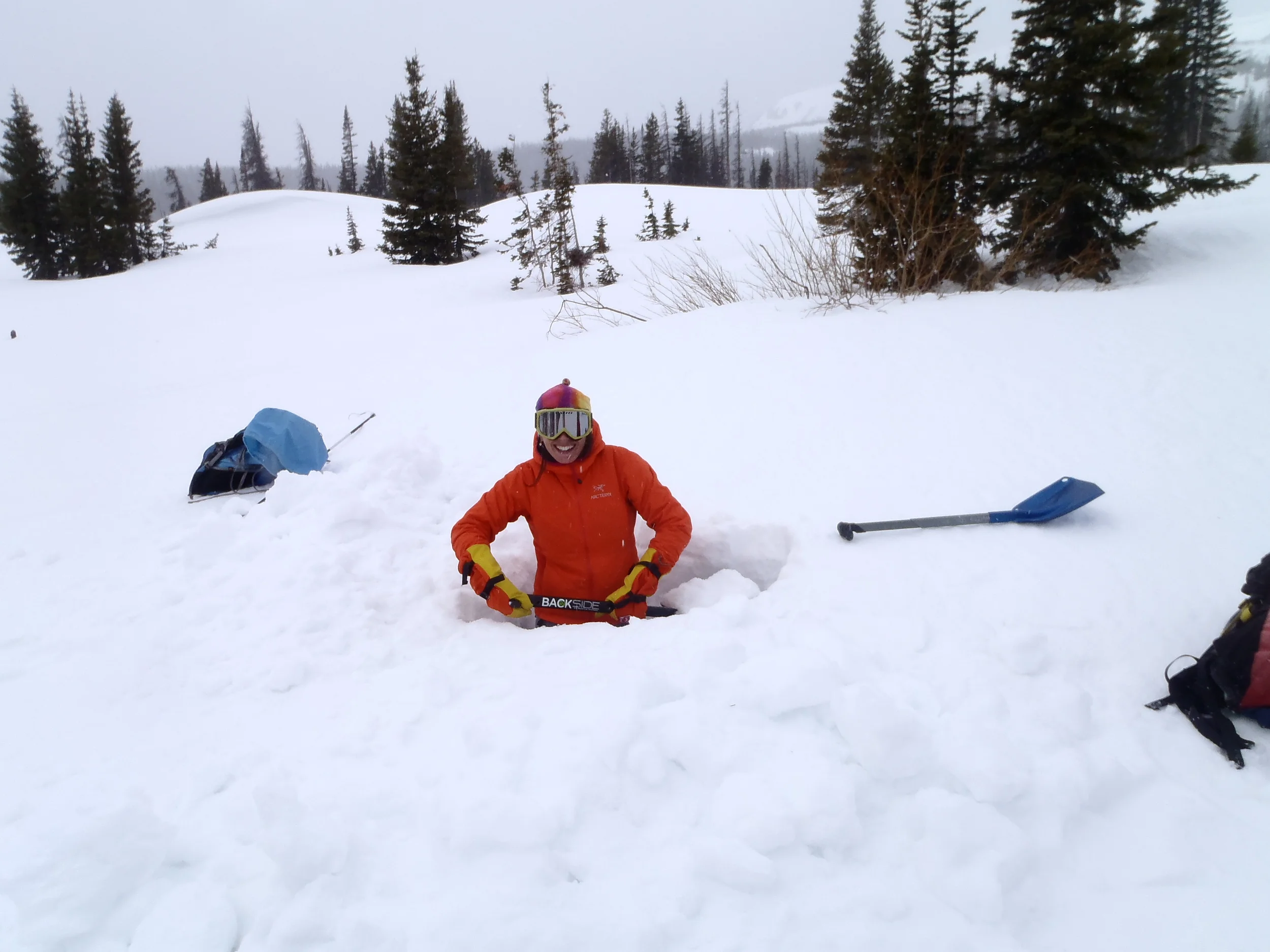 Snowies field work.jpg