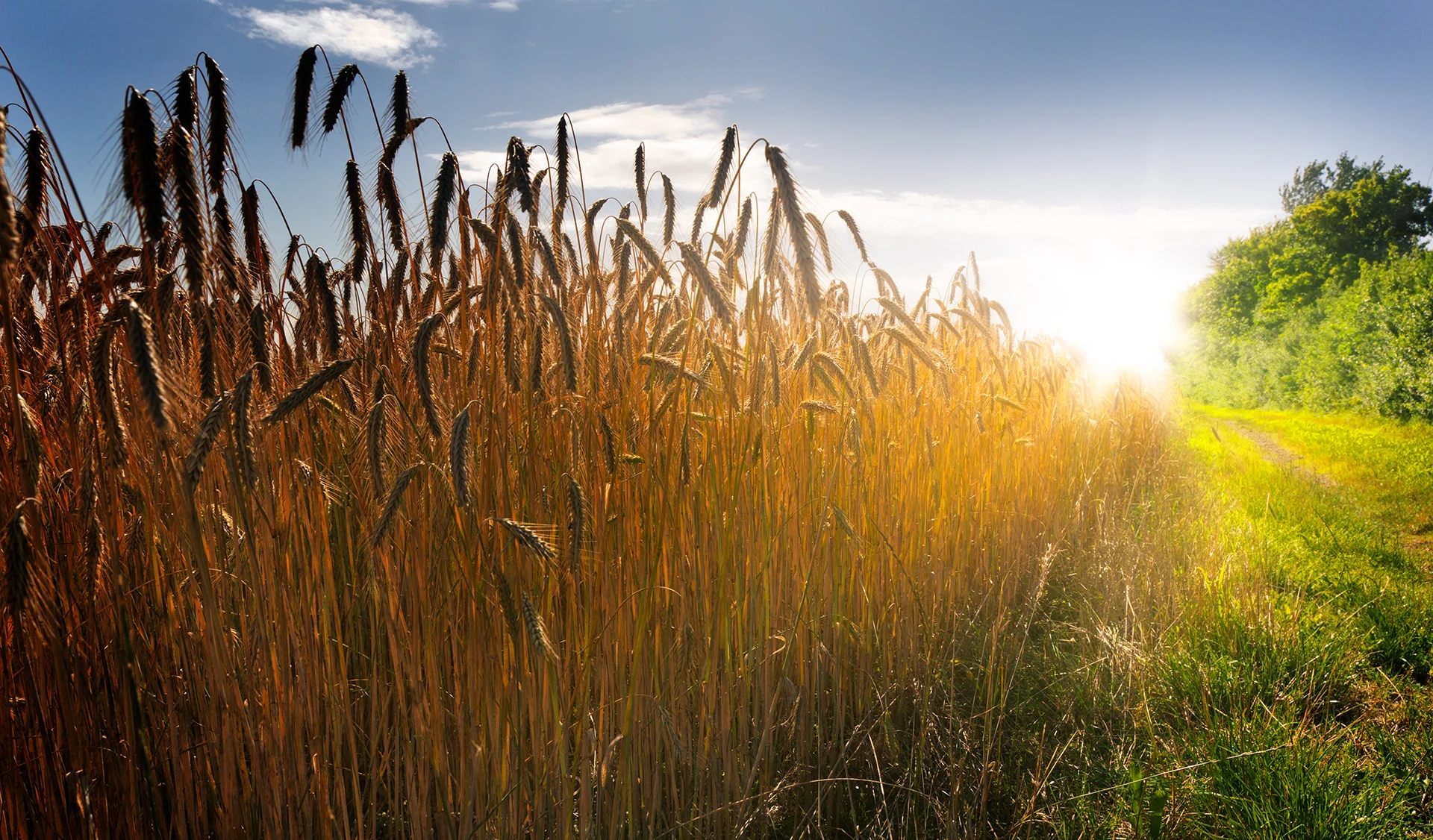 Hållbara småföretag