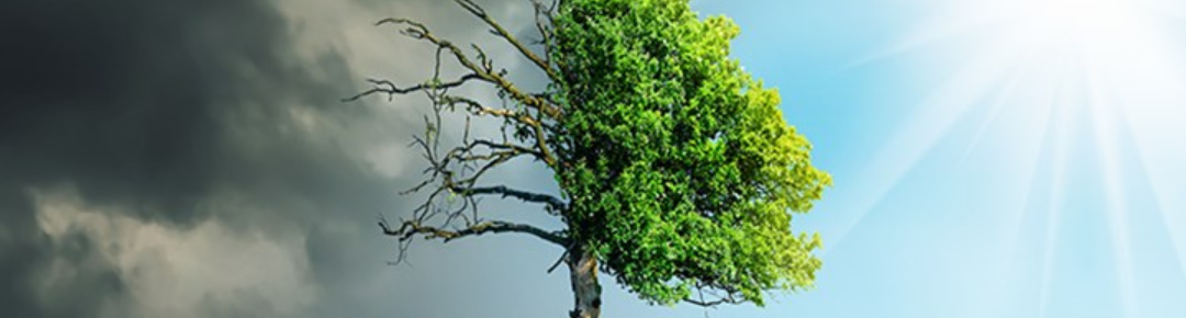 Lansering Hållbarhet som konkurrensfördel