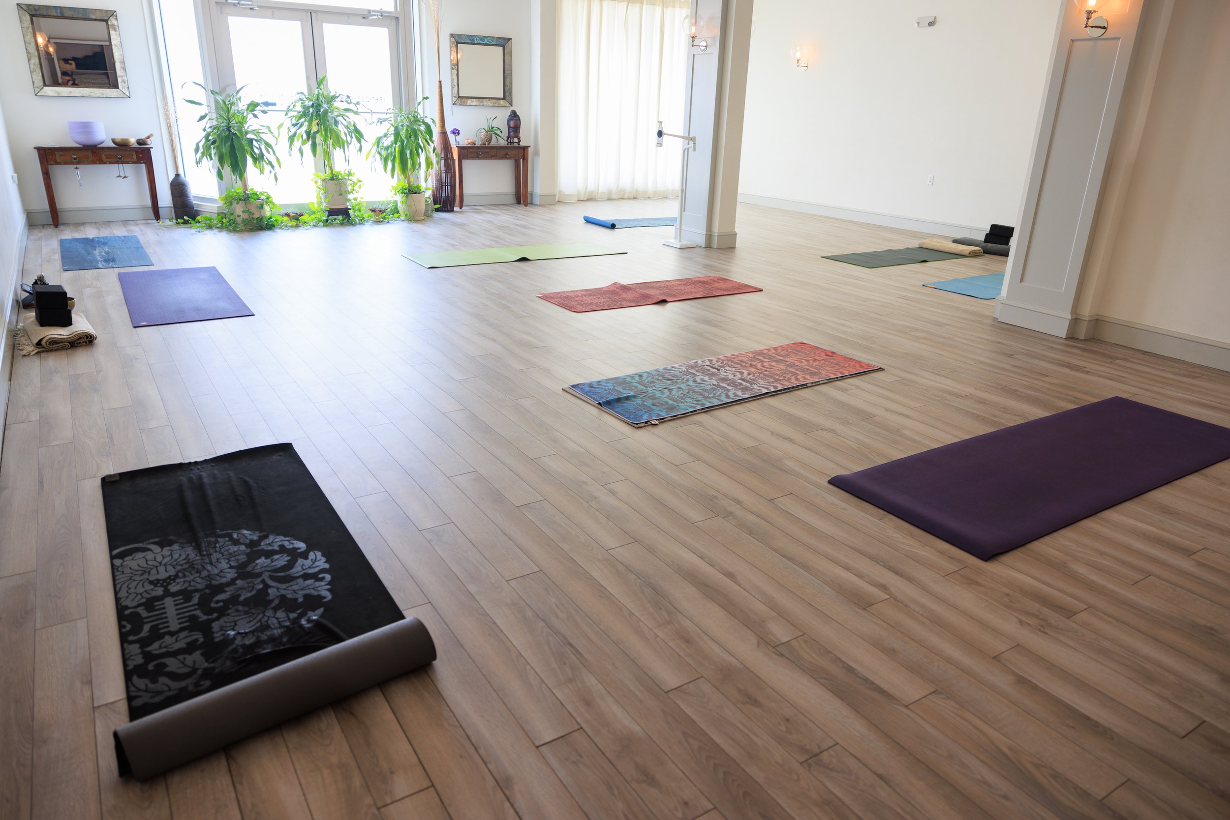 Bindu Yoga Studio In West Palm Beach