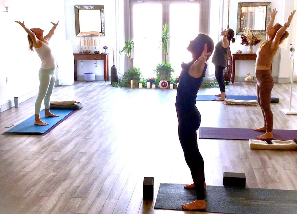 InStudio Class Schedule Yoga West Palm Beach, Fl — Bindu Yoga Studio