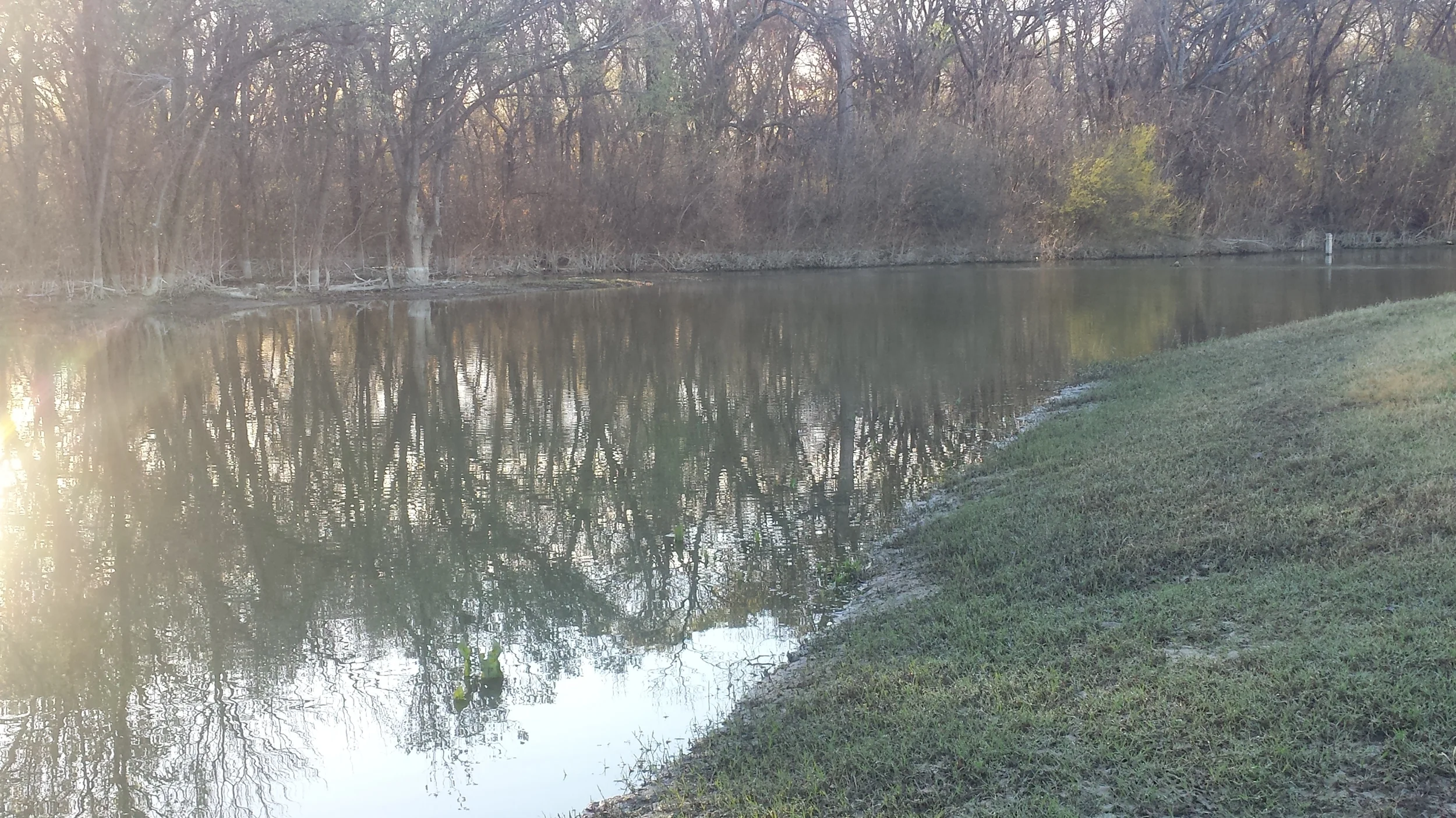 20160302_074035.jpg