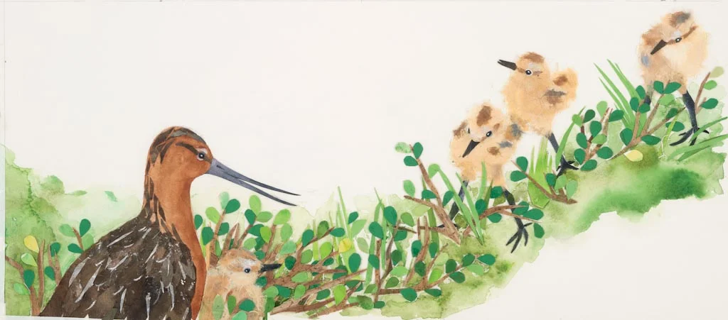 godwit and chicks, from "The Long, Long Journey" 2013
