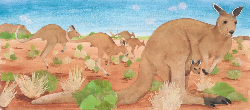 kangaroos, from "Who Was Here?" 2014