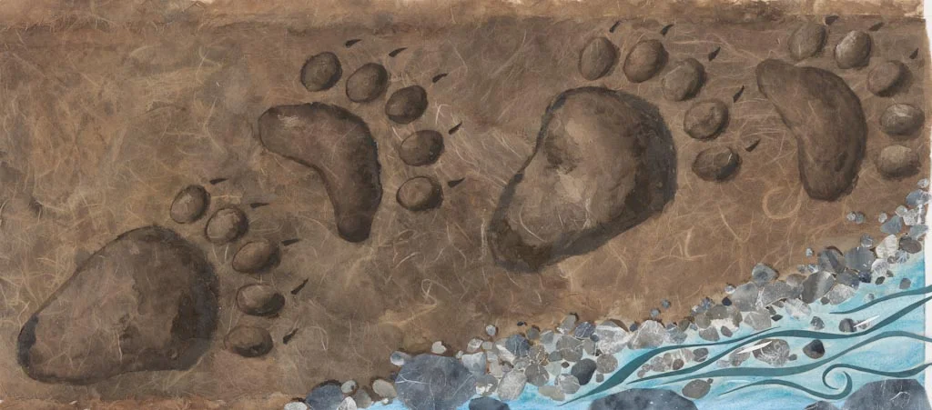 bear tracks, from "Who Was Here?" 2014
