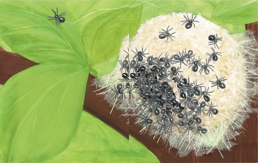 spiders hatching, from "Guess What's Growing Inside This Egg?" 2007