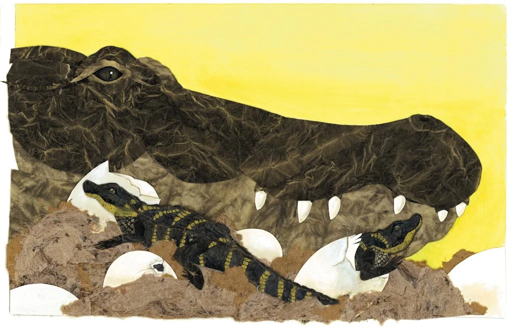 alligators hatching, from "Guess What's Growing Inside This Egg?" 2007