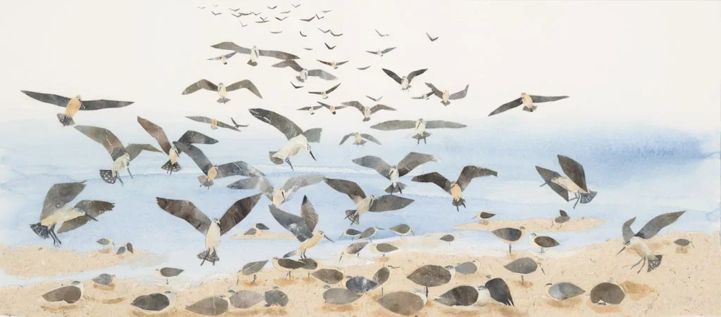godwits landing, from "The Long, Long Journey" 2013