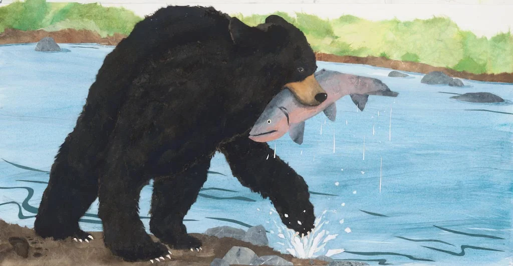 black bear, from "Who Was Here?" 2014