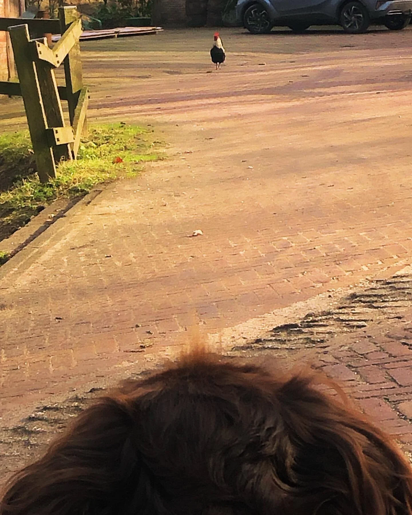Lekker chickie
#dejachtismooierdandevangst