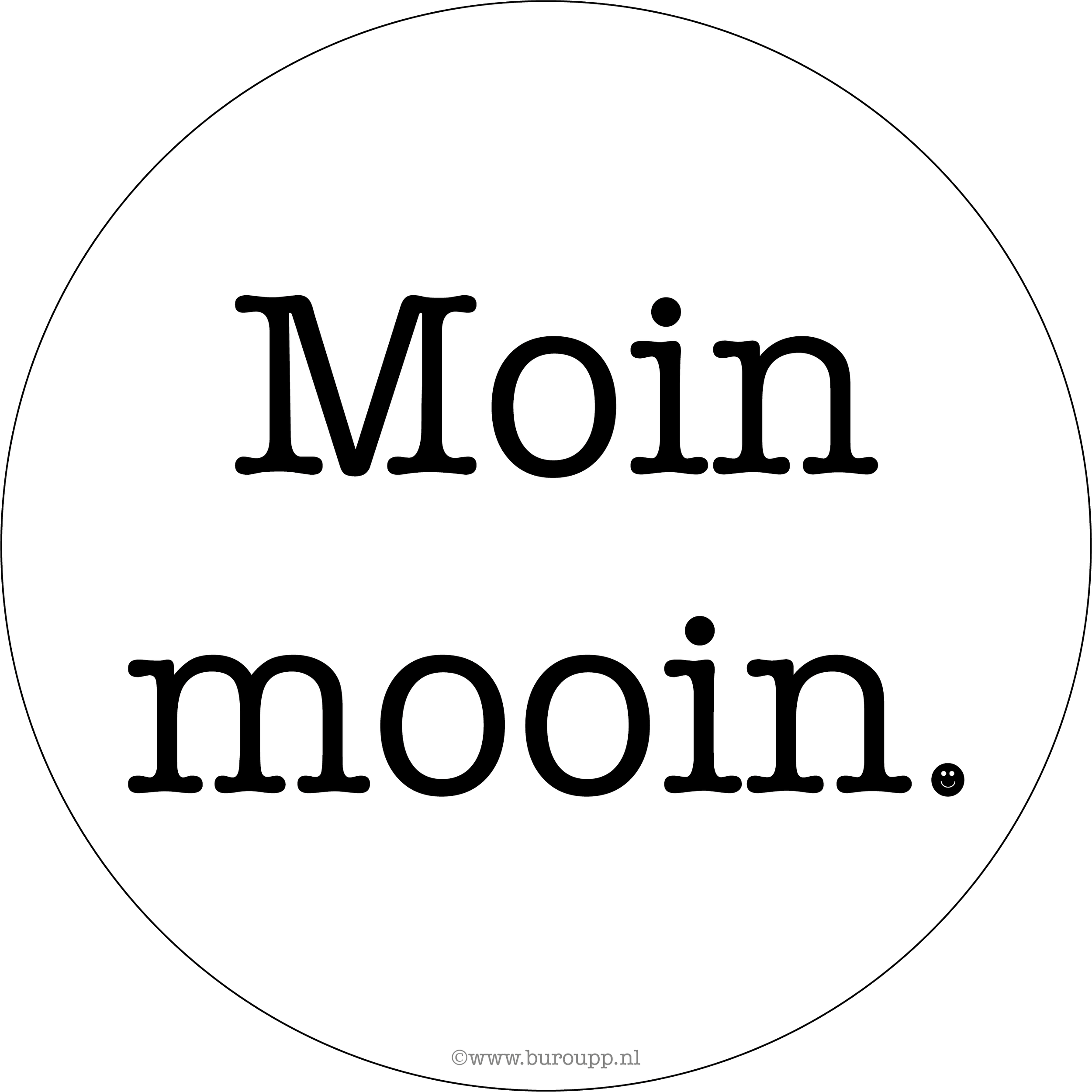 Spiegelsticker moinmooin afb.png