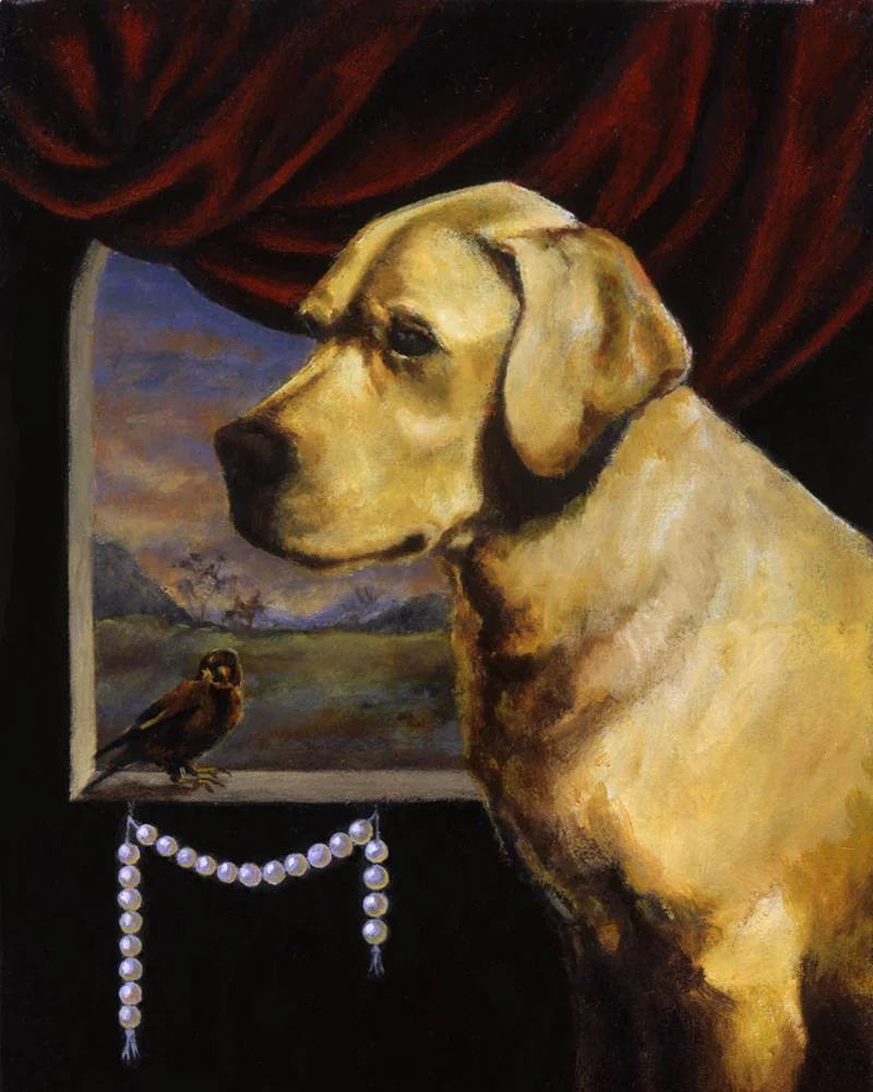 16-Labrador.jpg