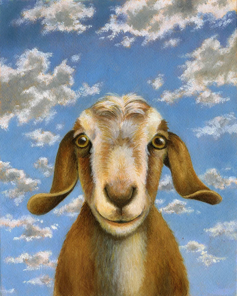 4-Goat-Portrait.jpg
