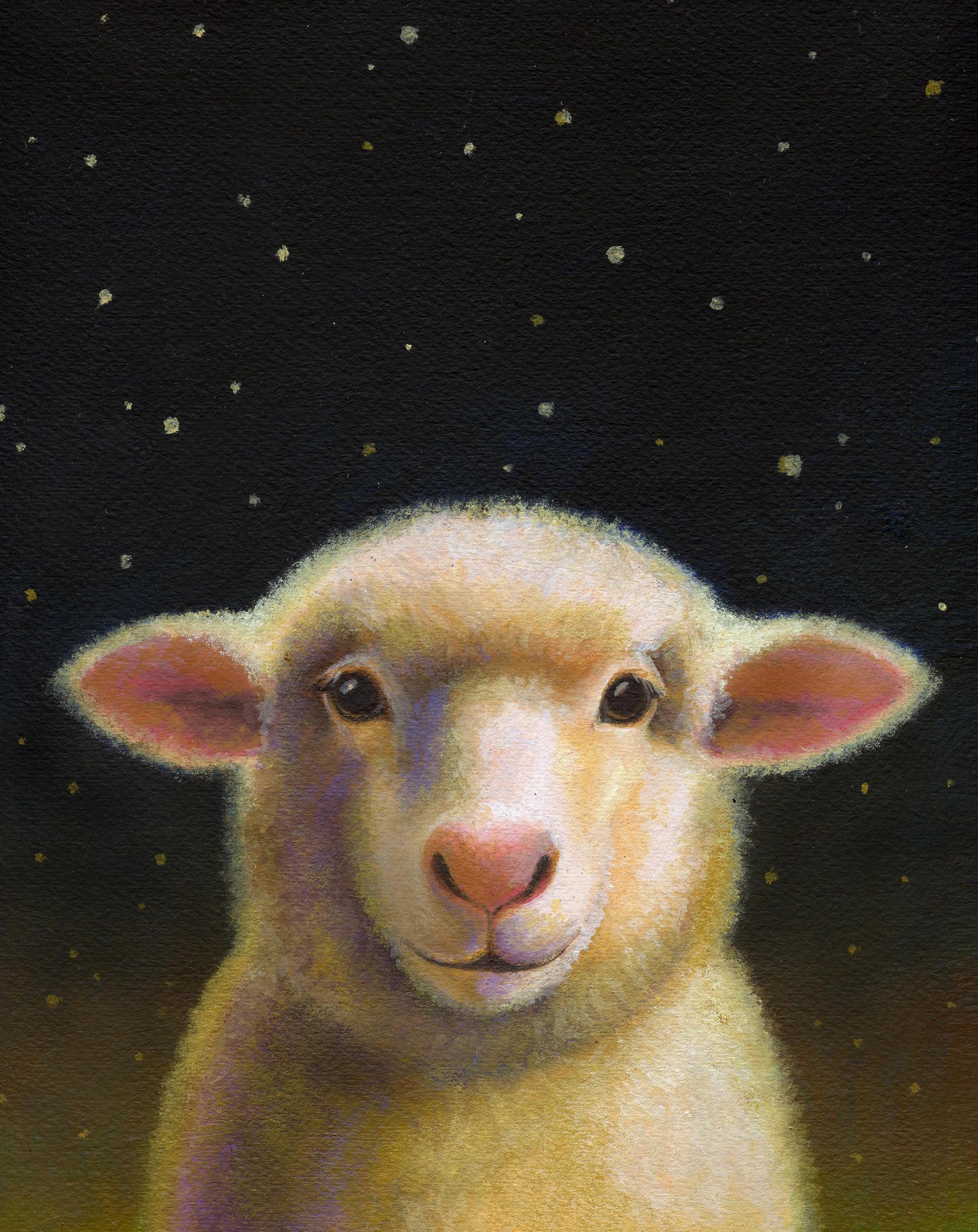 2-Sheep-Portrait.jpg