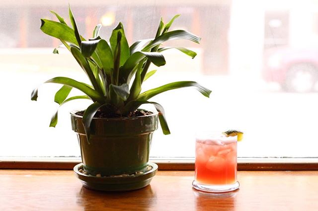 Come sit next to our resident bromeliad and pretend we&rsquo;re not about to be covered in 3-13 inches of snow! Winter In The Tropics is Kettle One vodka, pomegranate, pineapple, lime all shaken up and topped with ginger beer. 🏝&gt;☃️