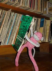 Madison, in her natural state is a little obsessive, likes to have things organized. She loves to make lists, boss the other monkeys around, and put the house in order. Here she is collating her extensive album collection!