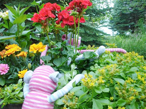 They also mess about in the garden, just for fun,,,