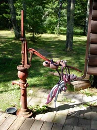 Pumping water is the biggest chore around the cabin. It takes so many monkeys to get even one pailful out of the ground!