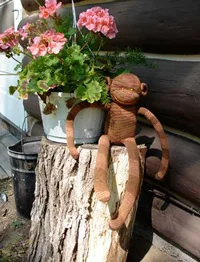 Brown is a horticulturist, and especially loves carnations!