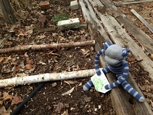 Skipper planted some arugula, so we can eat fresh greens all summer!