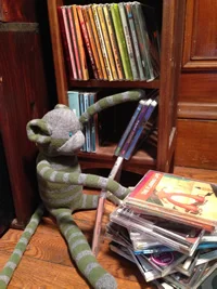 Herb is very organized! He keeps all the CDs collated by color!
