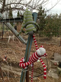 He and Herb secured netting to a frame for the peas to climb on.