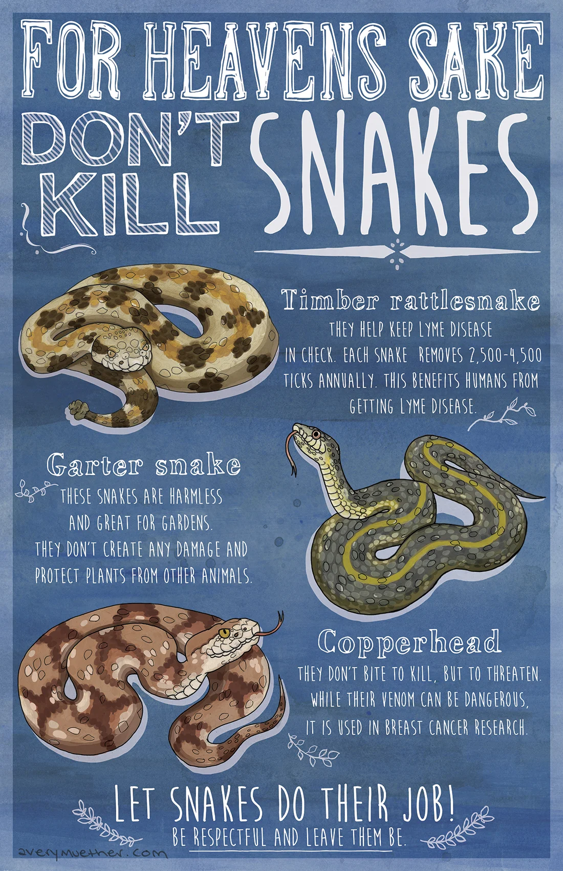 For Heavens Sake Don't Kill Snakes!