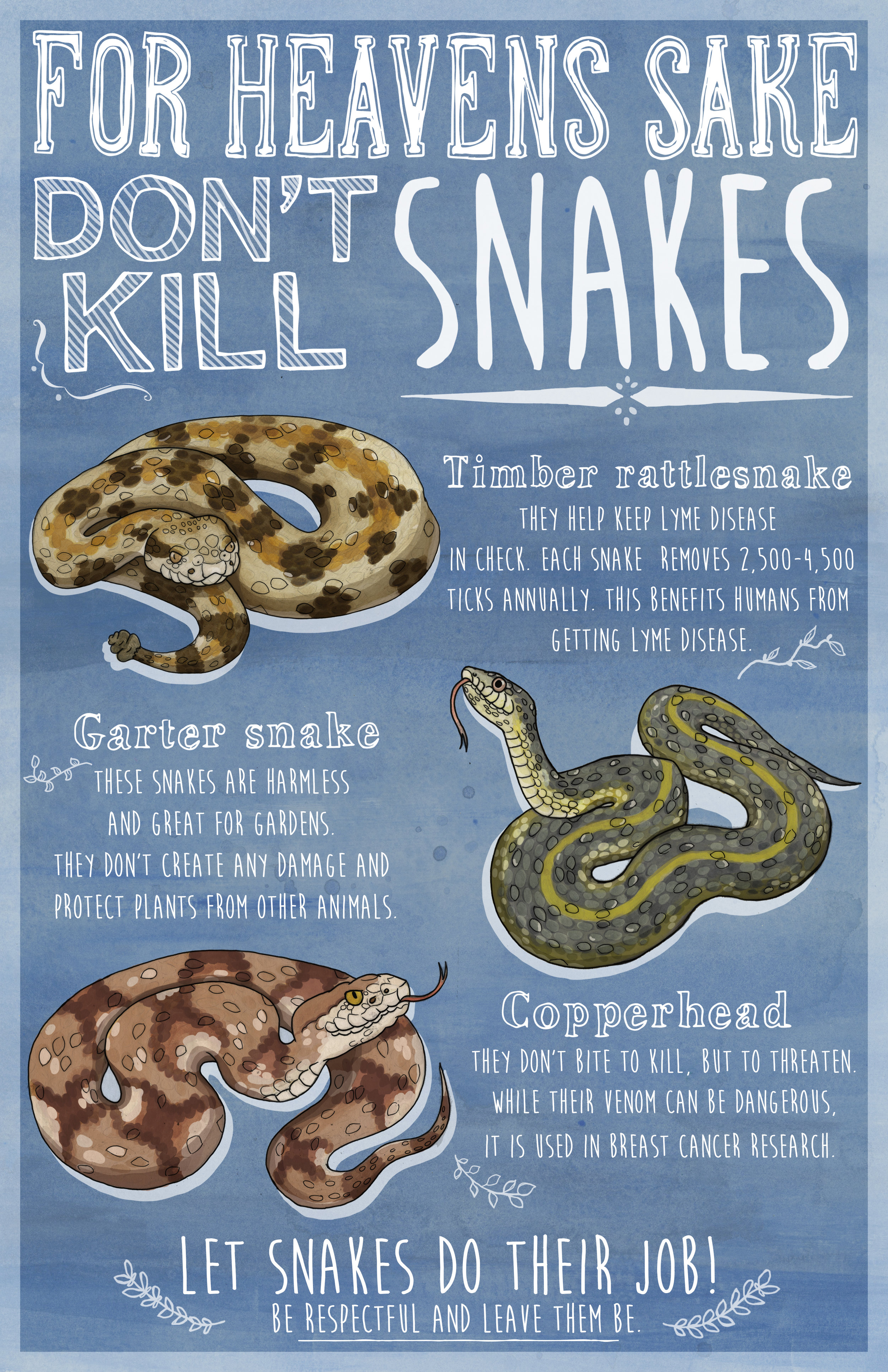 snakeinfograph_amuether.jpg